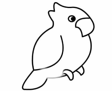 qq画图红包鹦鹉怎么画
